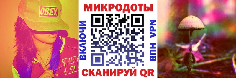 купить наркотик  Собинка  Псилоцибиновые грибы ЛСД 