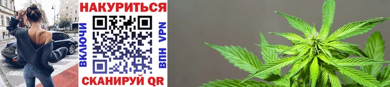 Каннабис SATIVA & INDICA сколько стоит Собинка
